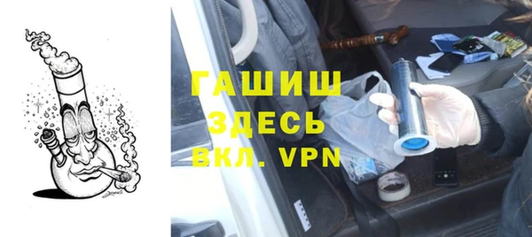 гидра Верхний Тагил