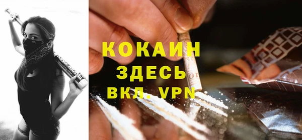 гидра Верхний Тагил