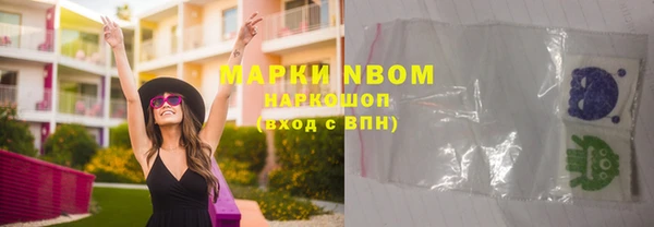 гидра Верхний Тагил