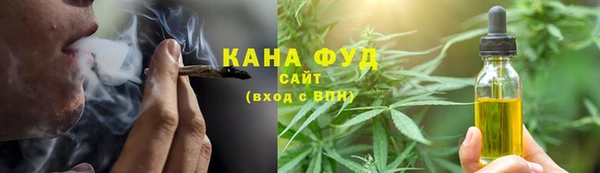 гидра Верхний Тагил
