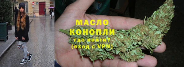 гидра Верхний Тагил